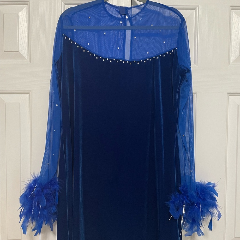Elegant Blue Feather-Trimmed Dress